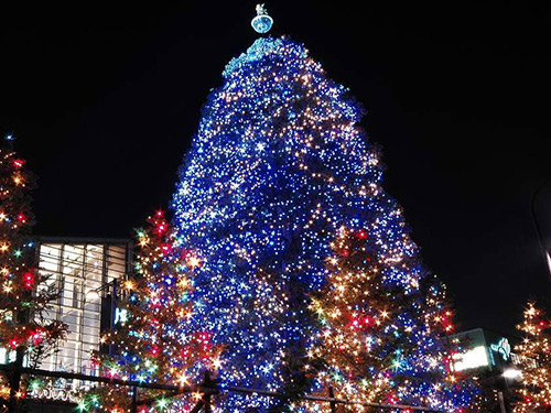 圣誕節(jié)要裝飾圣誕樹(shù)的原因